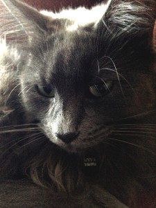 Isn't she just so cute?