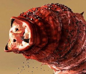 Mongolian Death Worm courtesy of Animal Planet