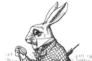 The White Rabbit