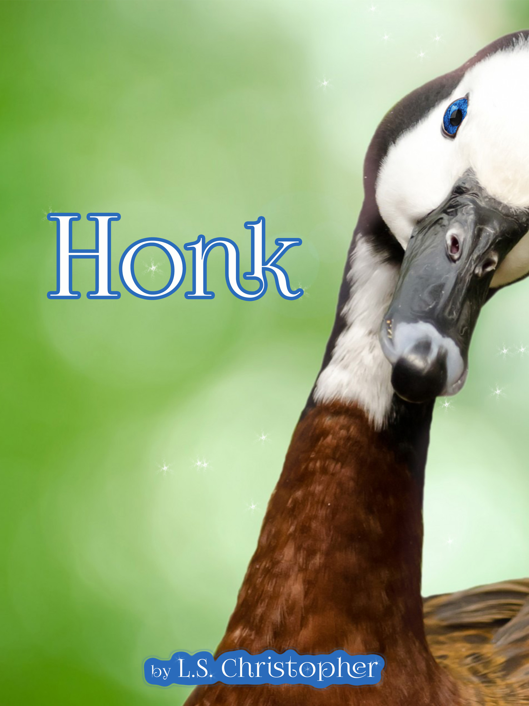 Honk cover
